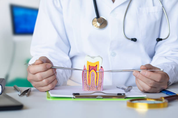 Best Pediatric Emergency Dentist in St Peter, WI